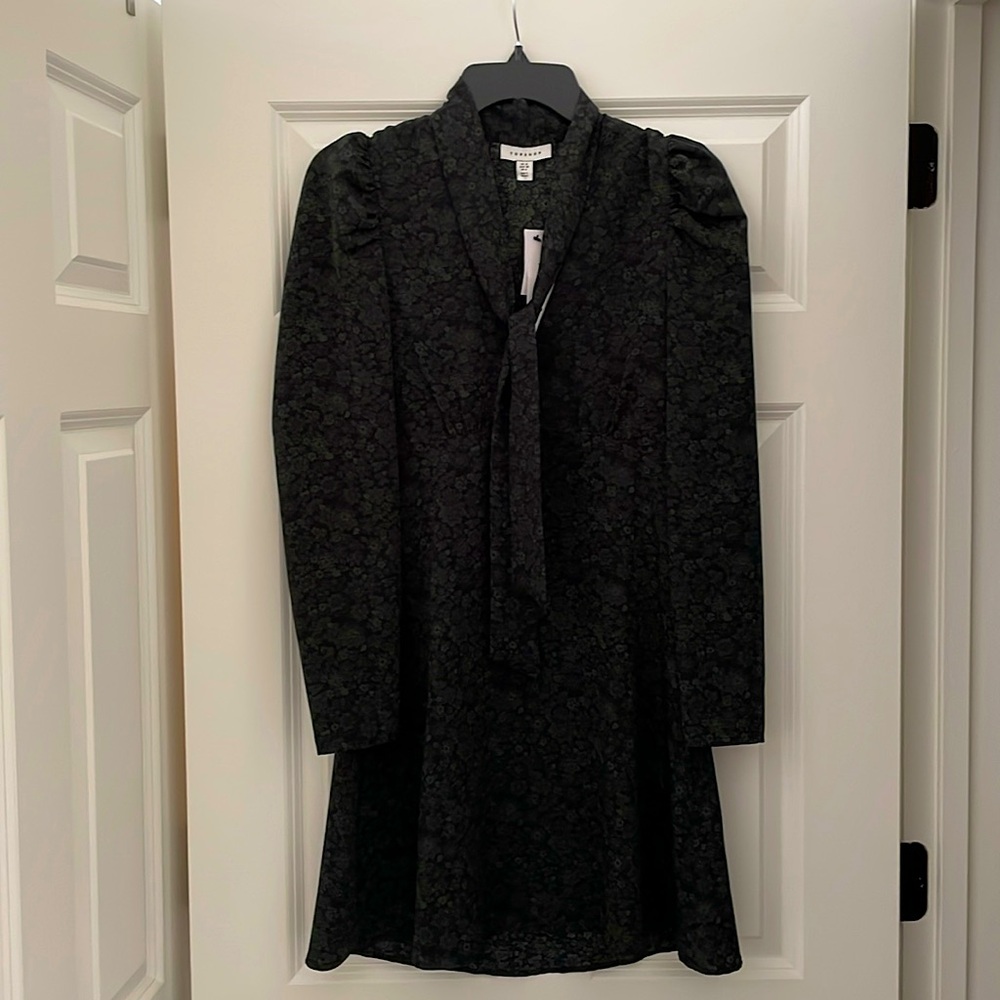 NWT Topshop Paisley Dress